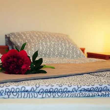 Apartment Ponava