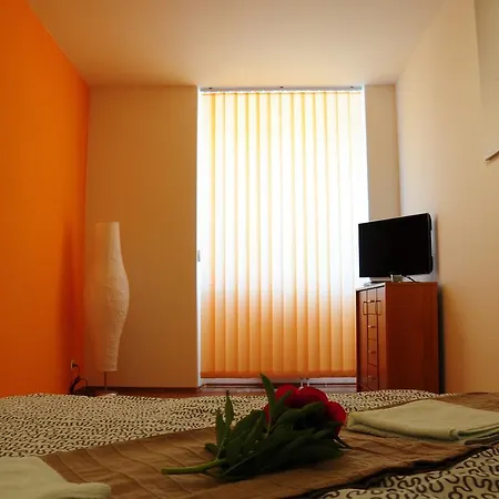 Apartment Ponava Brno